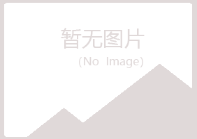 日照岚山匆匆水泥有限公司